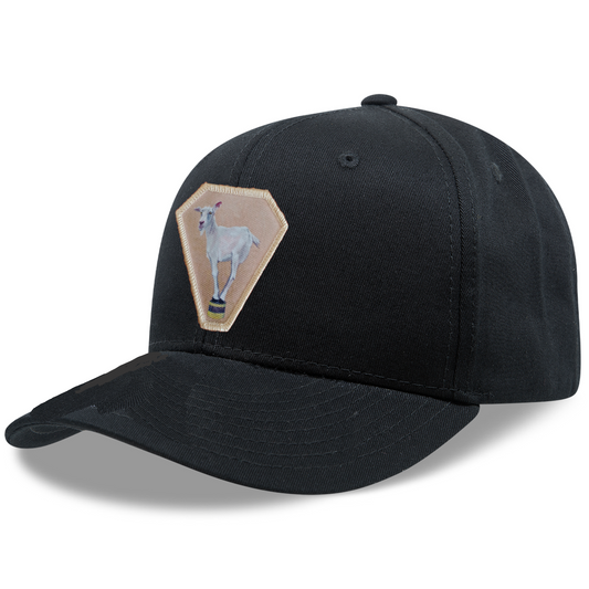 6 Panel Base Ball Cap