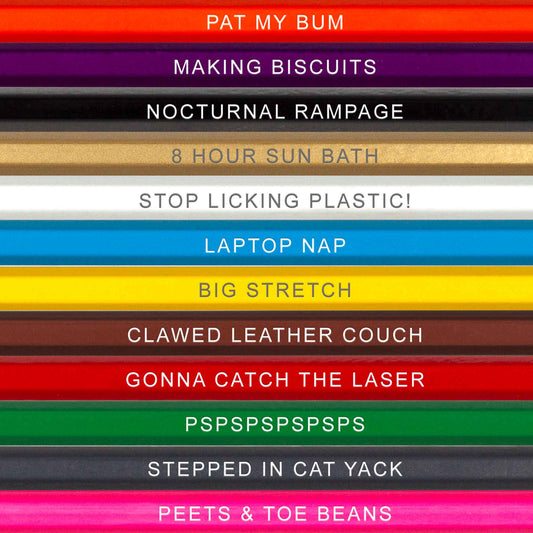 Kitty Colors Colored Pencil Set for Cat Lovers