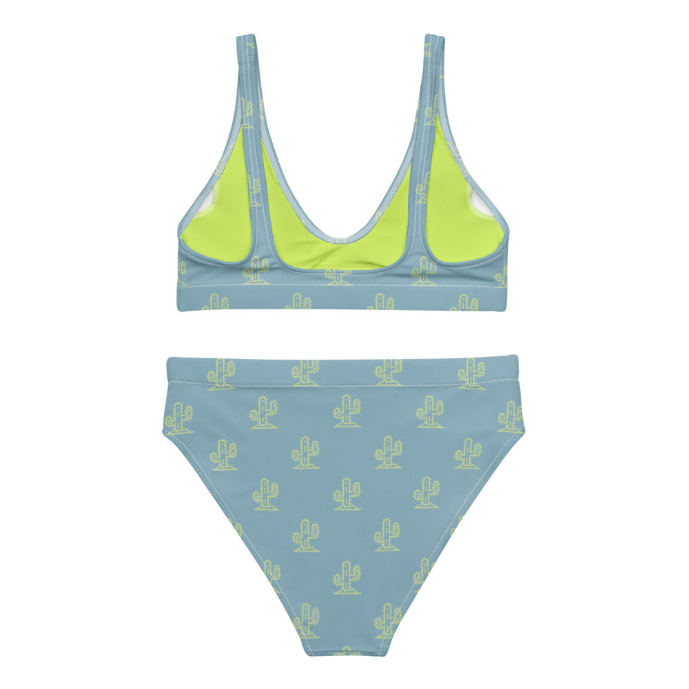 Cactus Cutie high-waisted bikini