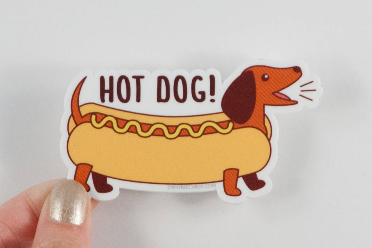 Dachshund Vinyl Sticker Pun "Hot Dog!"