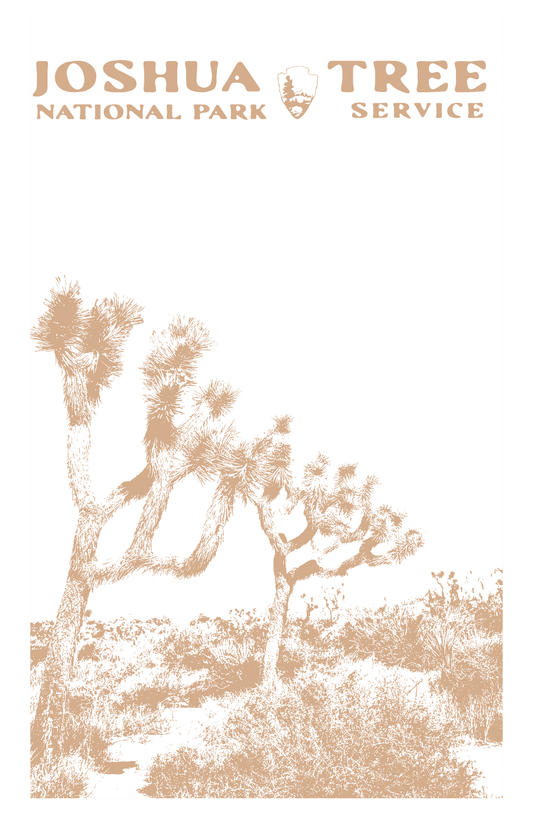 Joshua Tree Print