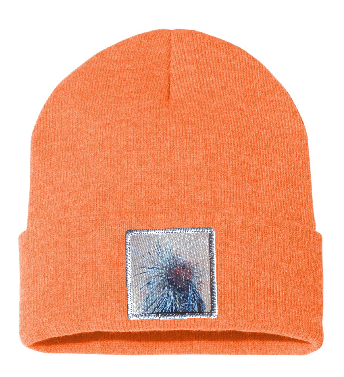 Porcupine Beanie