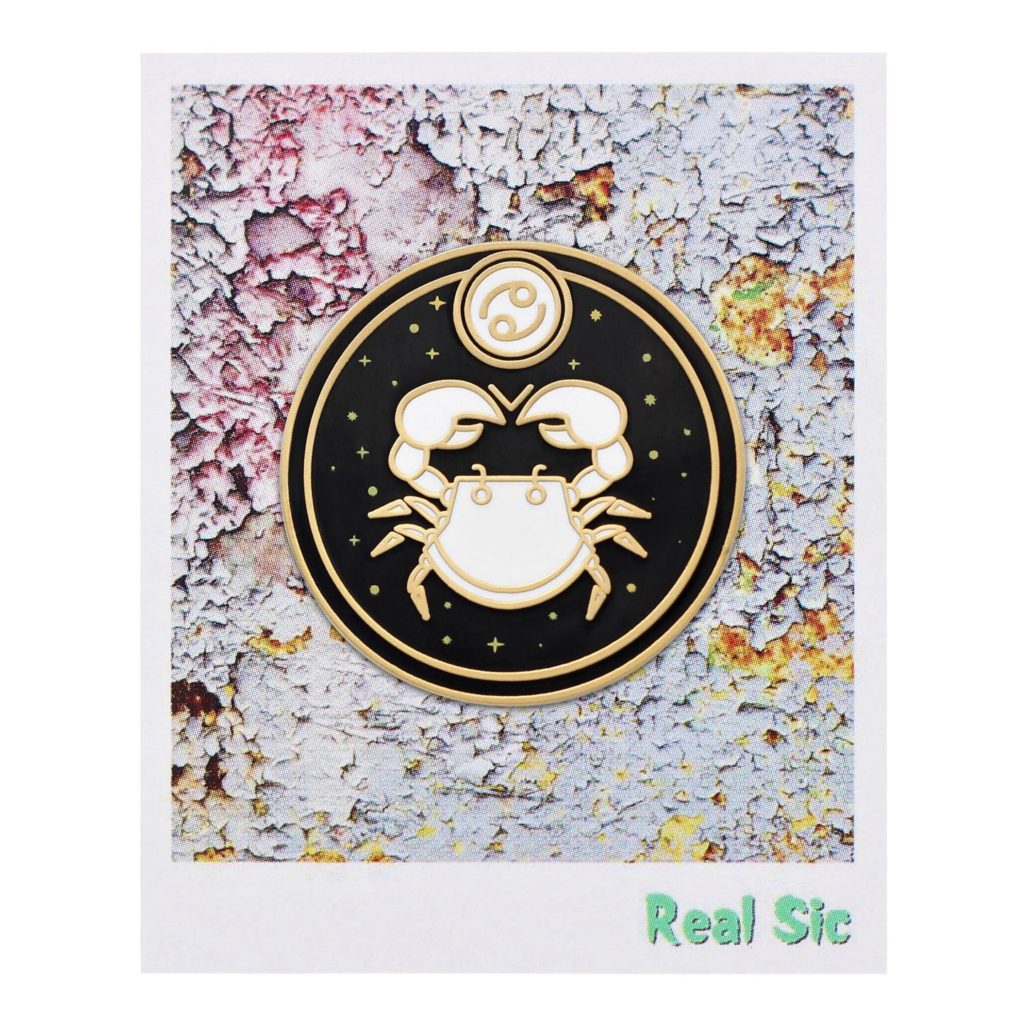 Astrological Zodiac Sign Pin - Star Sign / Astrology Enamel Pins for Birth Sign / Birthday Gift