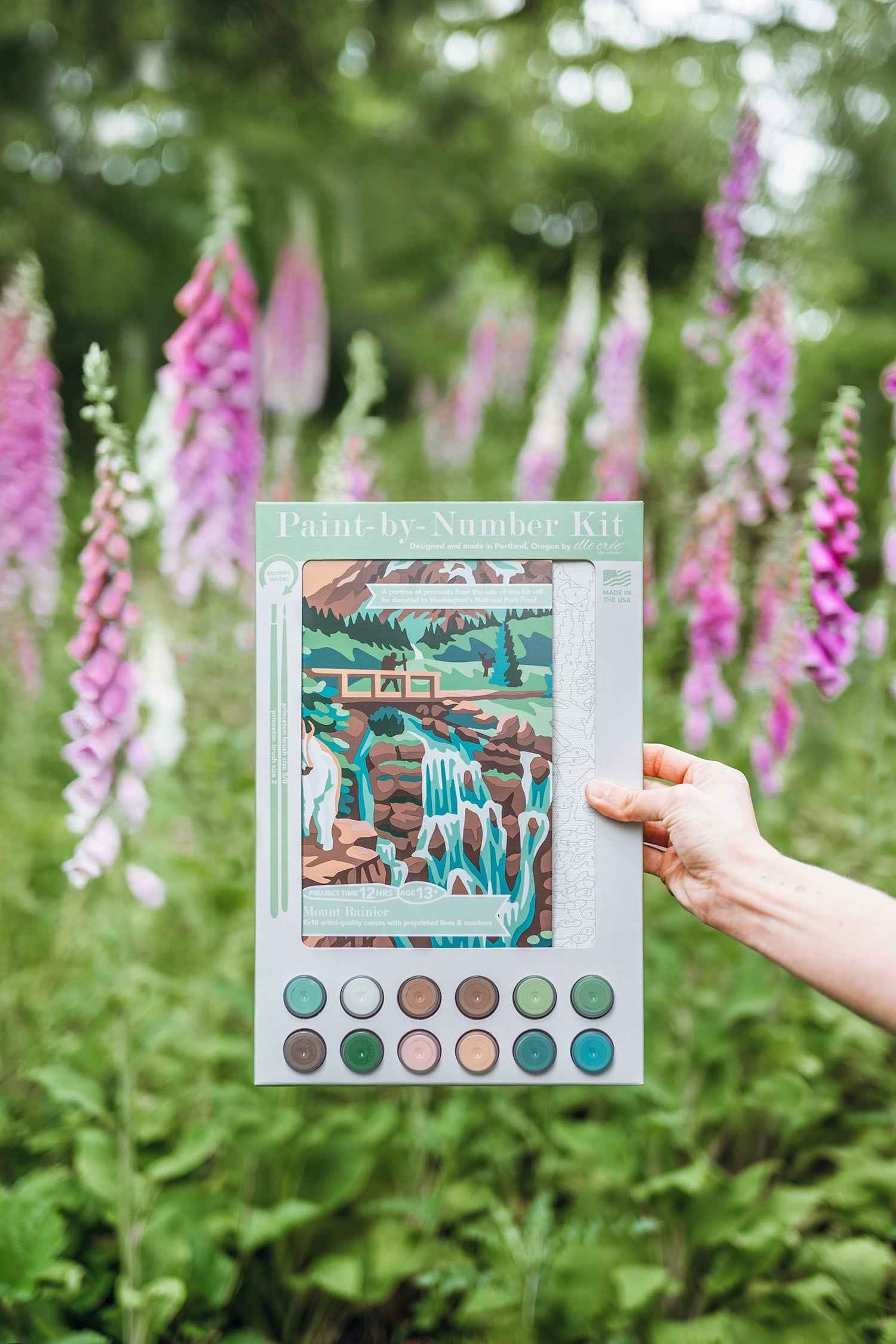 Mount Rainier National Park | 8x10 paint-by-number kit