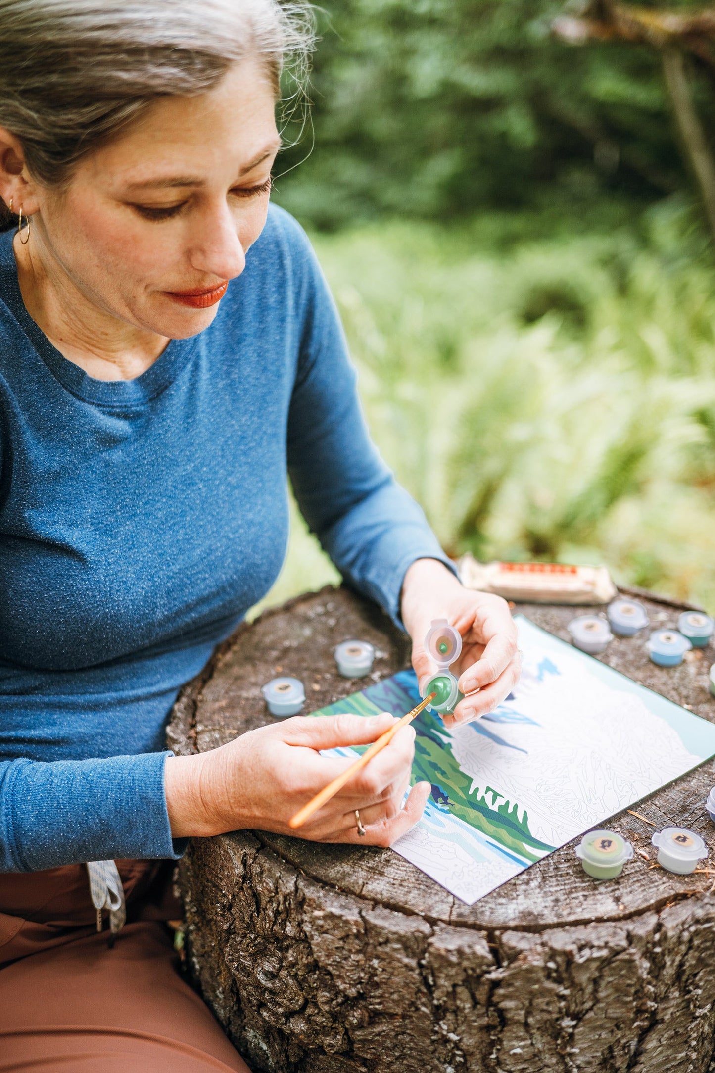 Denali National Park | 8x10 paint-by-number kit