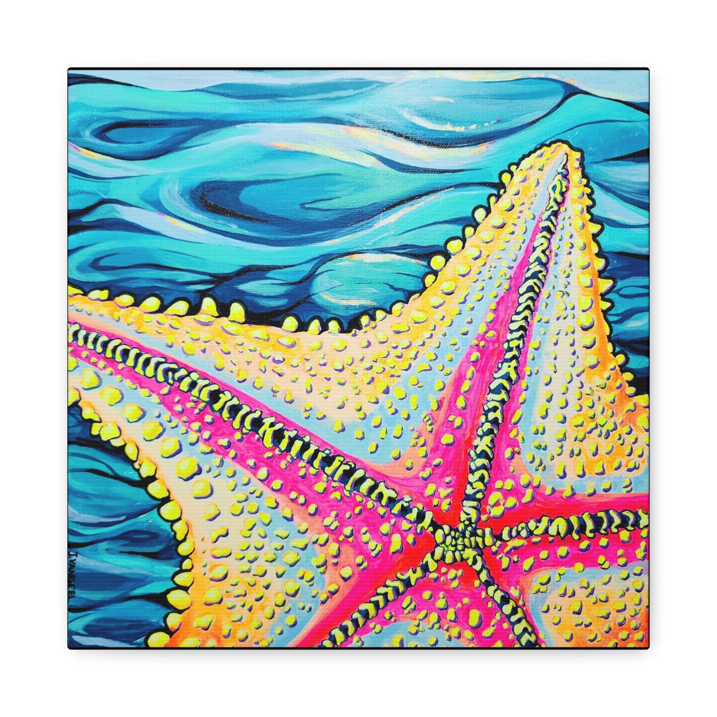 Starfish Beach Bocas Original Canvas Art Print, Gift, Unique Wall Decor