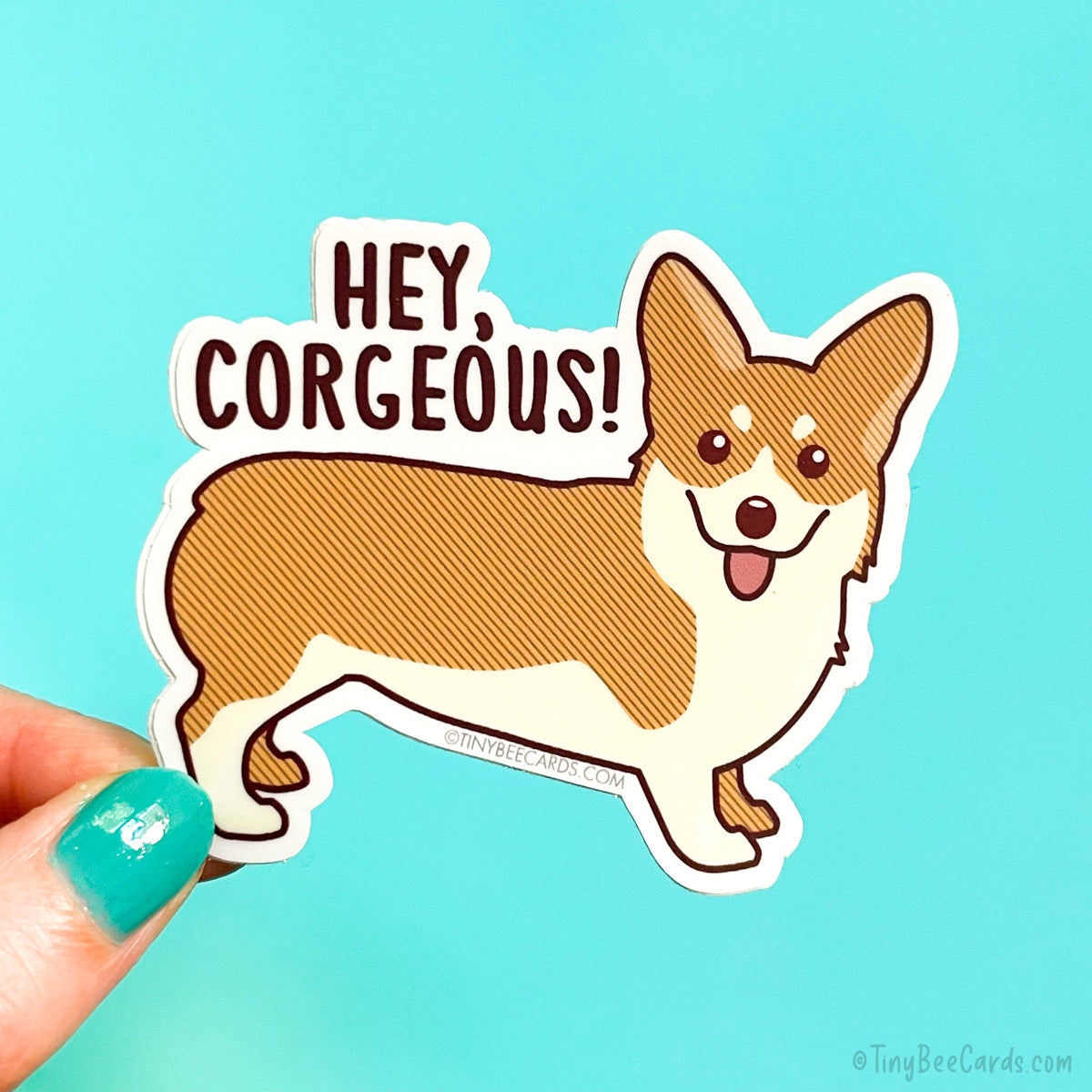 Funny Corgi Vinyl Sticker "Hey Corgeous!"