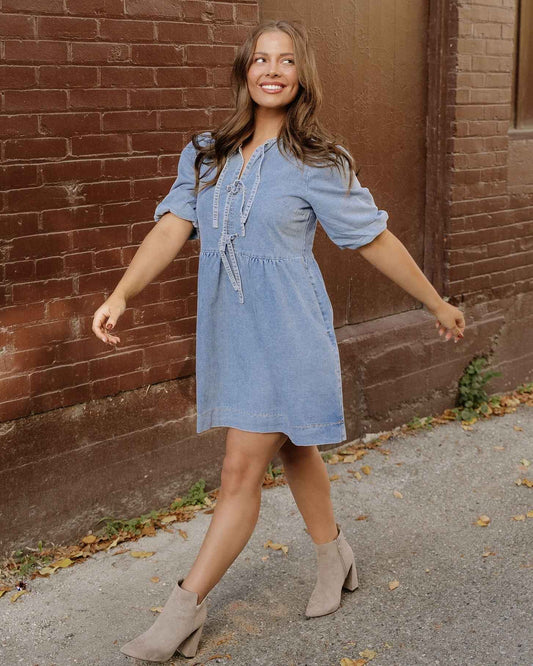 Fallon Denim Dress