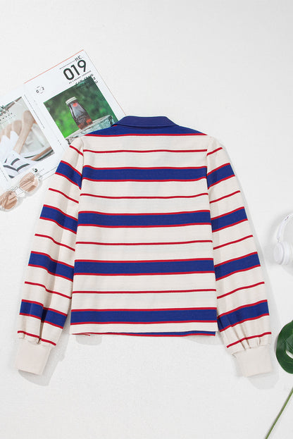 Stripe Polo Pullover Sweatshirt