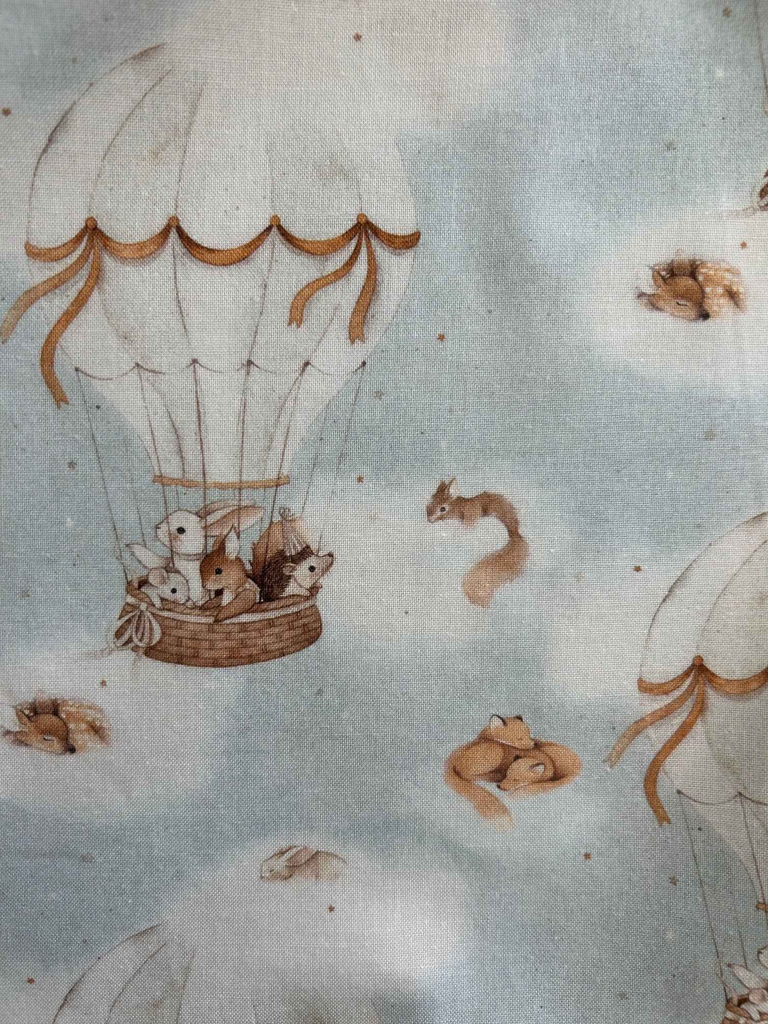 Hot Air Balloon Vintage Dress