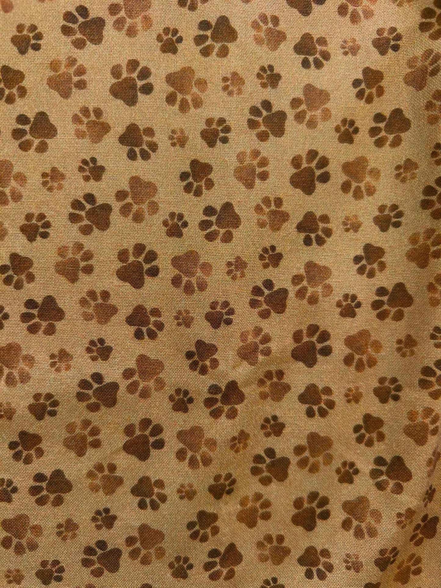 Paw Print Bow Top