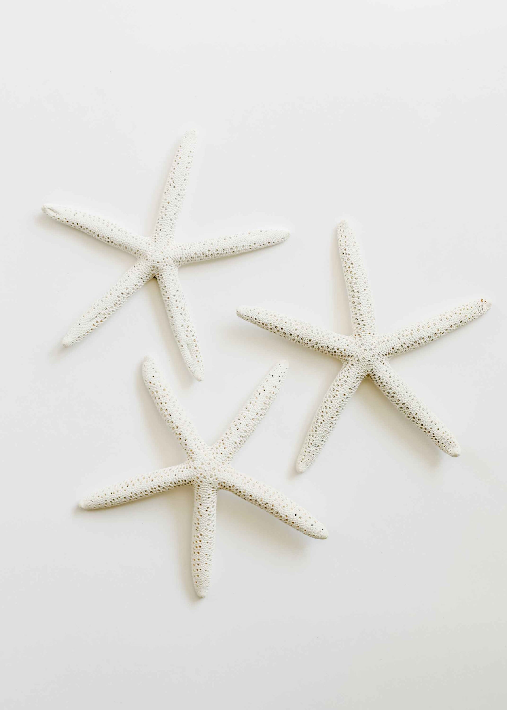 Starfish