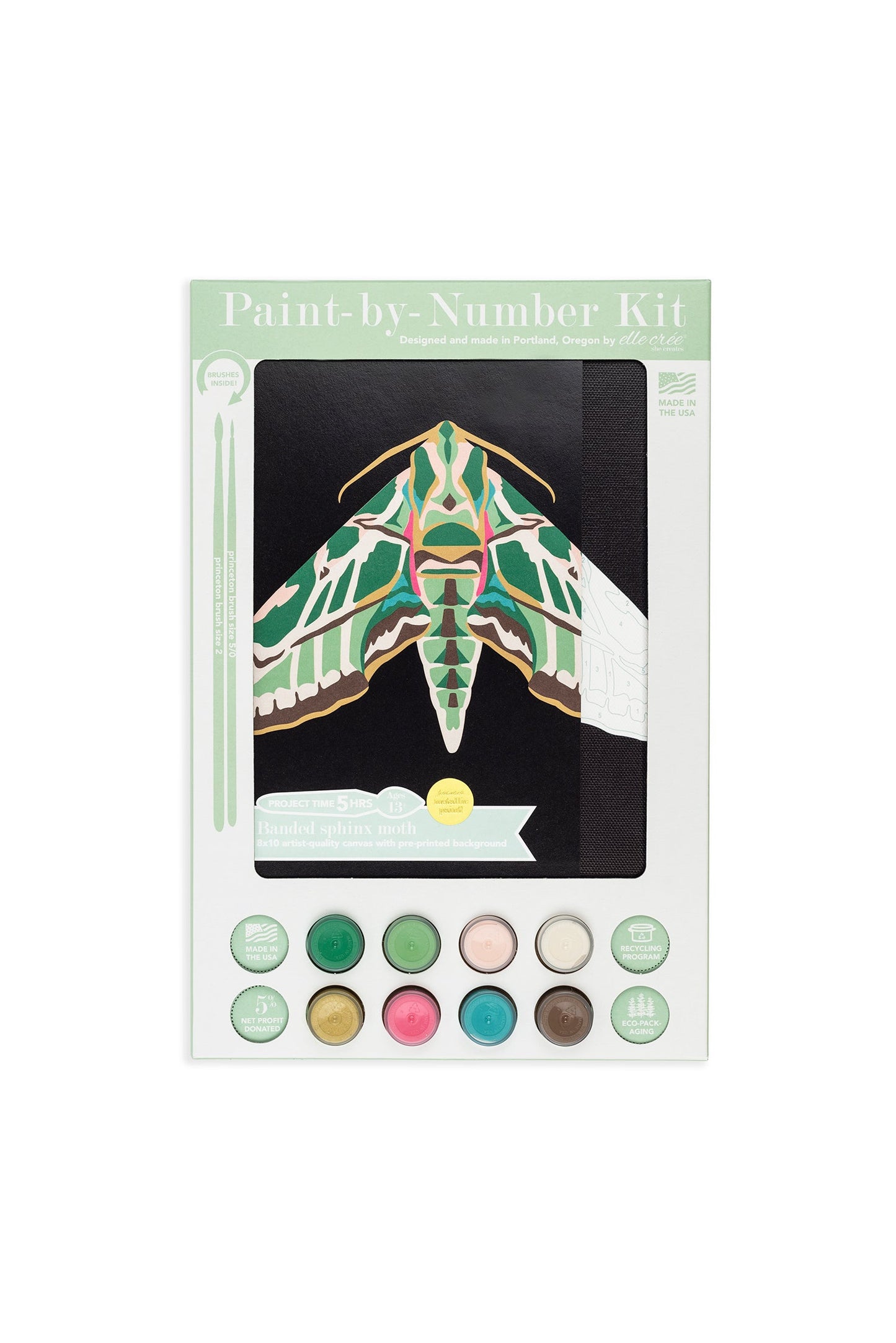 Banded Sphinx Moth | 8x10 paint-by-number kit