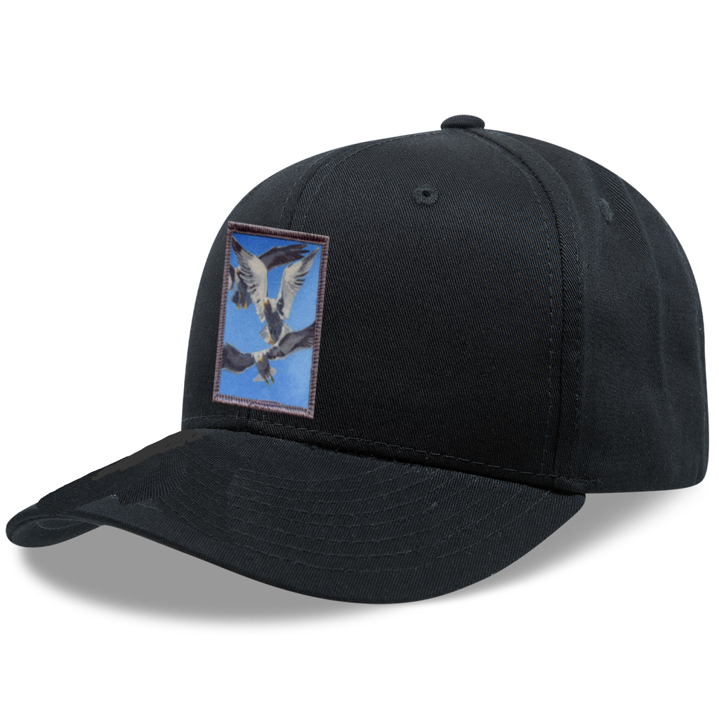 6 Panel Base Ball Cap