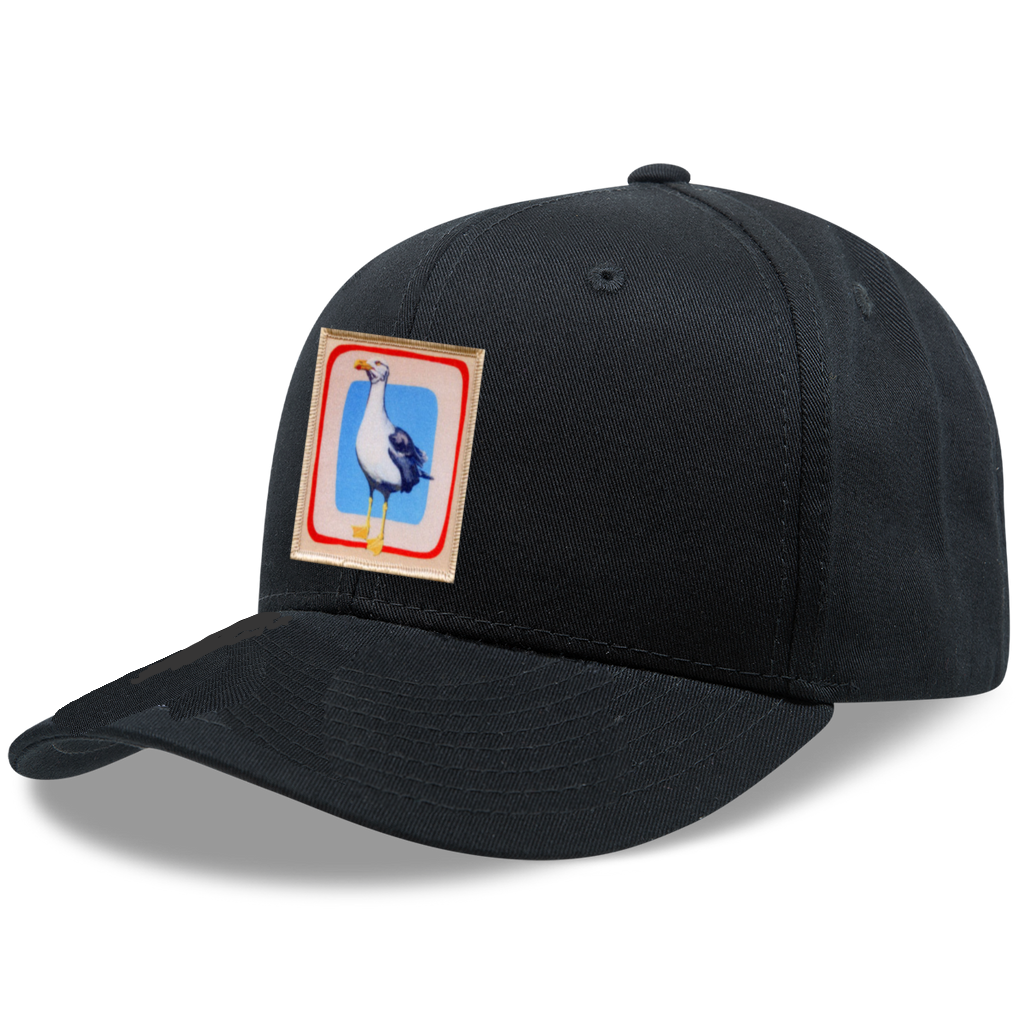 6 Panel Base Ball Cap