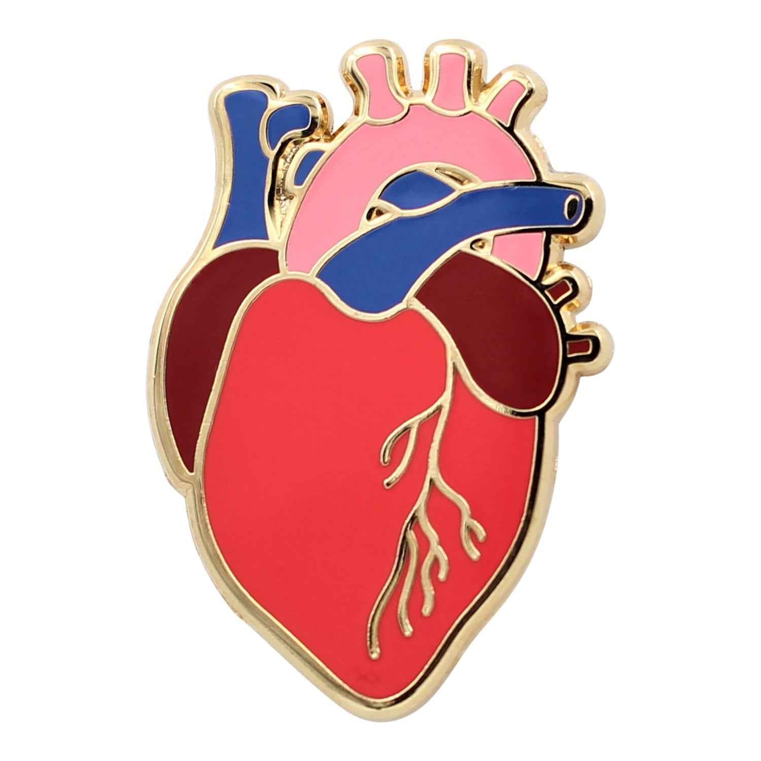 Anatomical Heart Pin - Realistic, Scientific Heart Enamel Lapel Pin for Valentine's Day