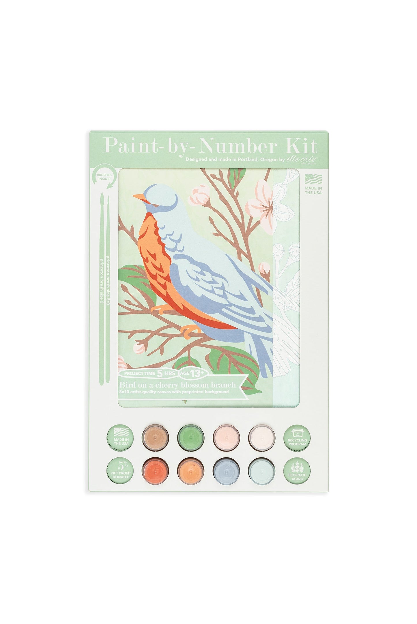 Bird on a Cherry Blossom Branch | 8x10 paint-by-number kit