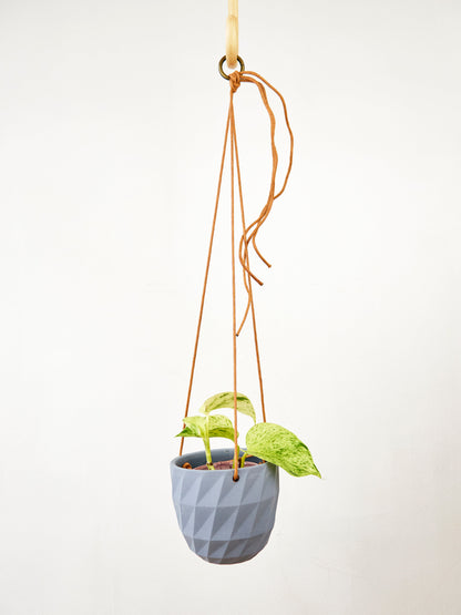 Virago Modern Hanging Planter- Grid