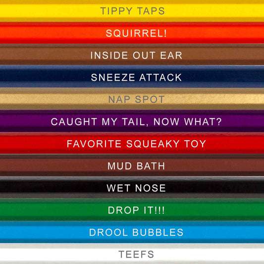 Canine Colors Colored Pencil Set for Dog Lovers