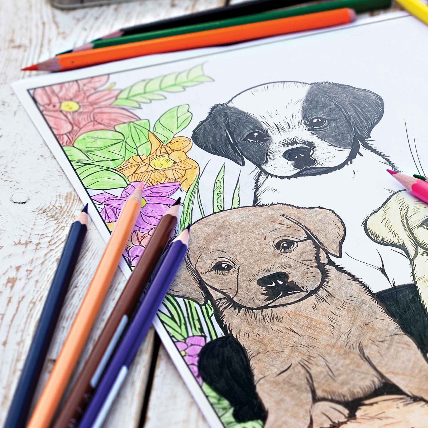 Canine Colors Coloring Pages (10 Pack)