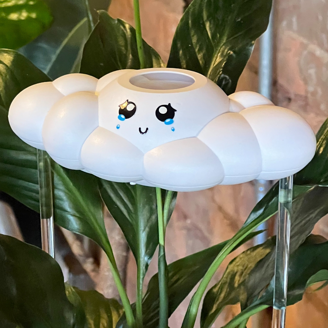 Clara The Cloud