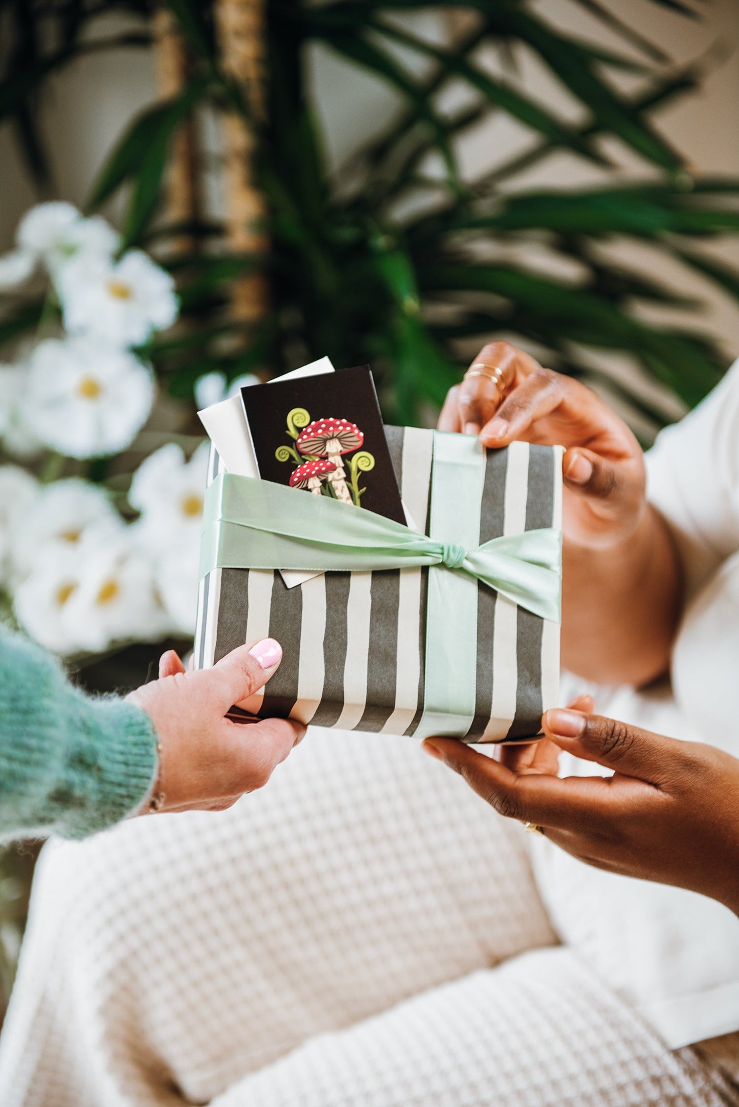 Mushrooms Mini Card Set