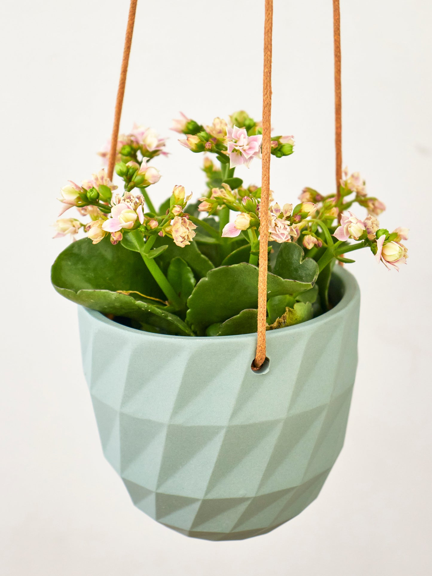 Virago Modern Hanging Planter- Grid