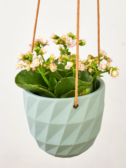 Virago Modern Hanging Planter- Grid