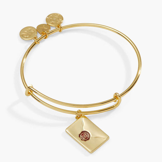 Harry Potter™ Acceptance Letter Charm Bangle