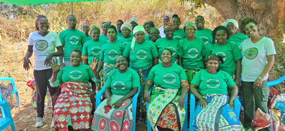 Star Of Health ⭐ Ornament