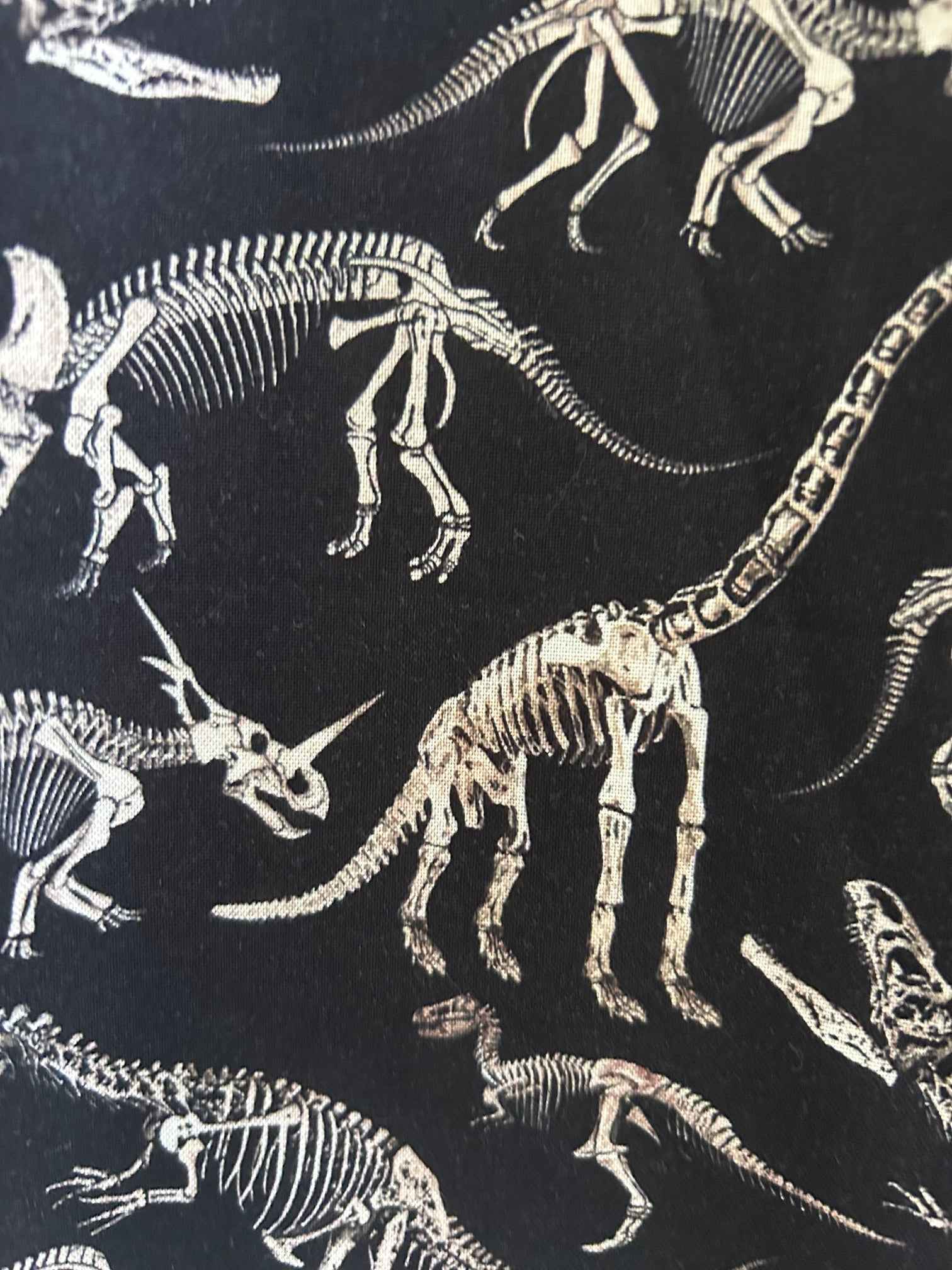 Dino Bones Skater Skirt