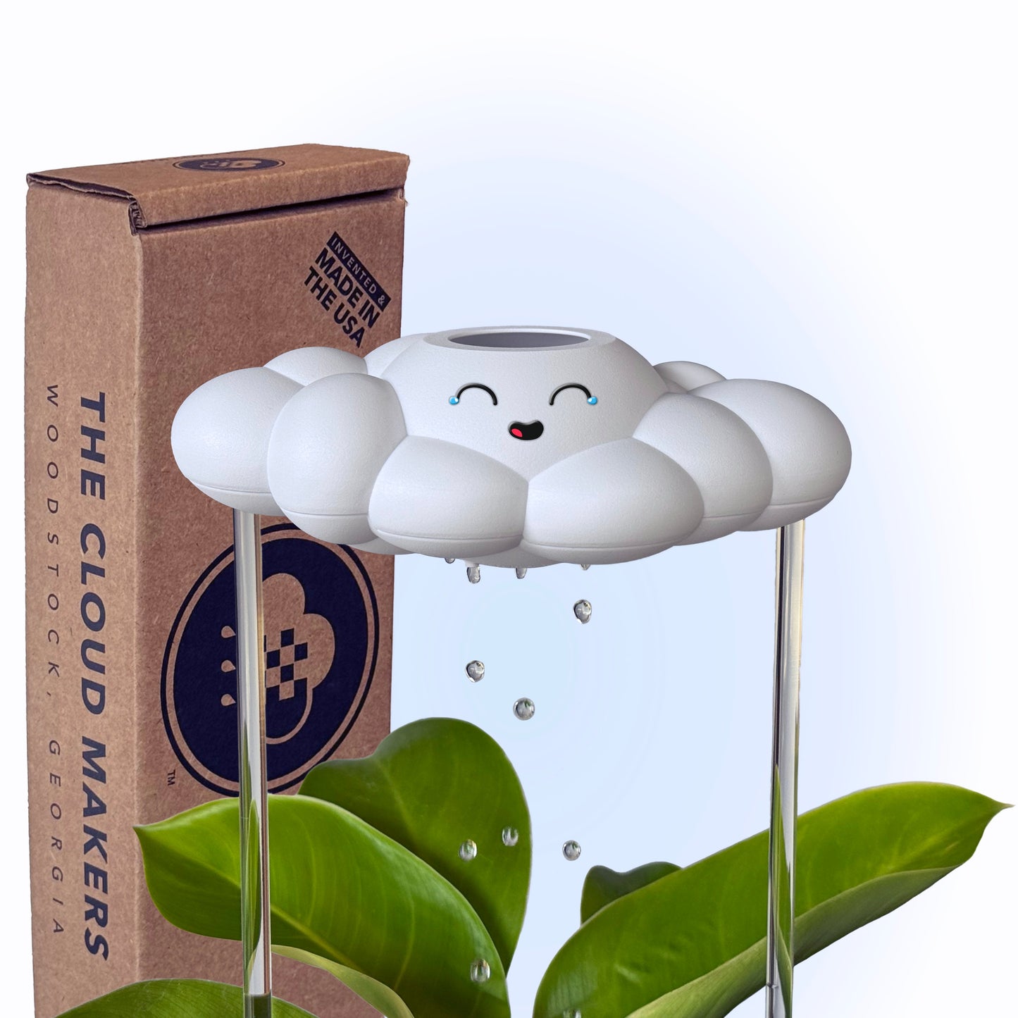Misty the Cloud
