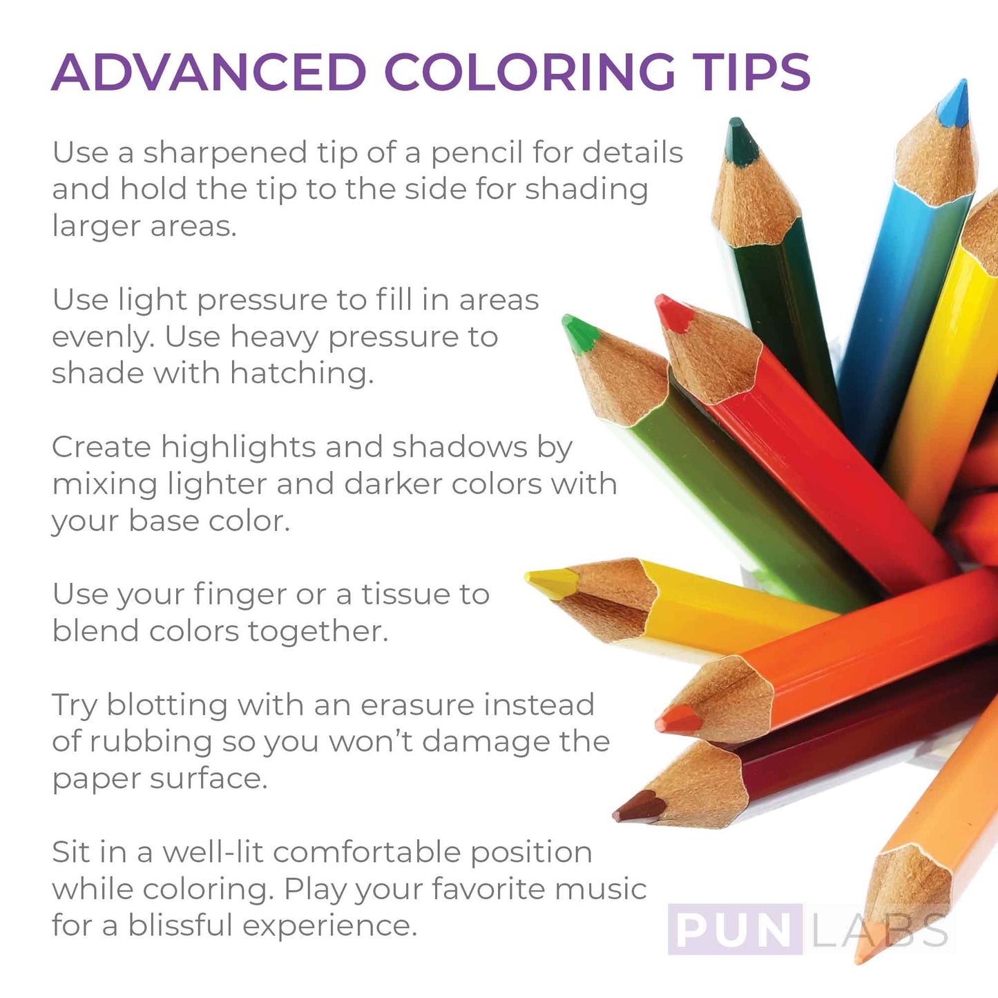 Monet Colors Colored Pencil Set
