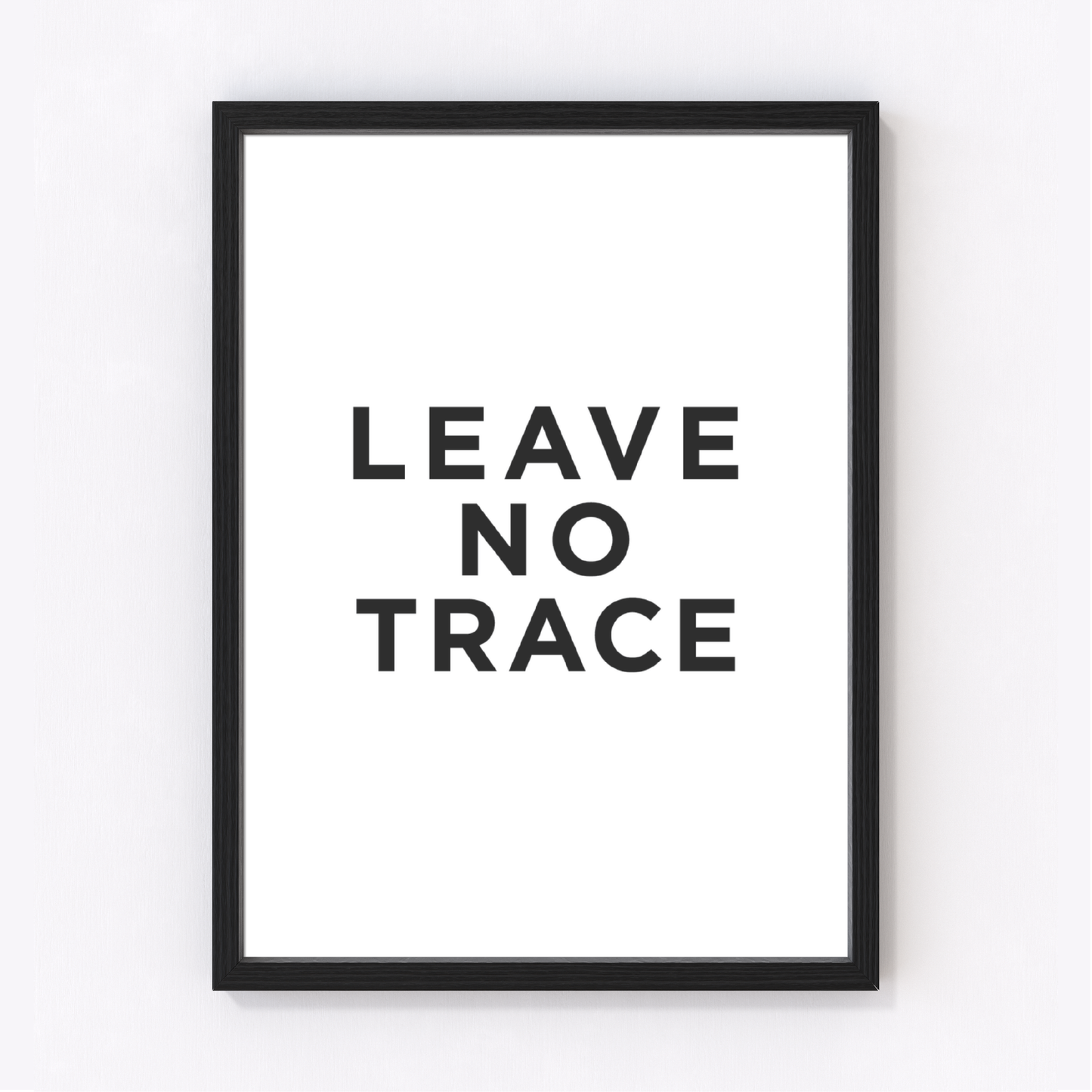 Leave No Trace Art Print