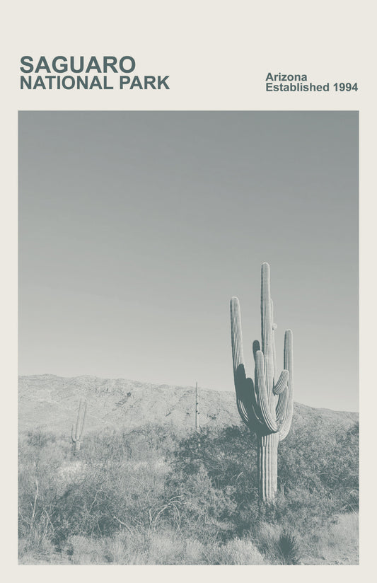 Saguaro National Park Print, Monochrome