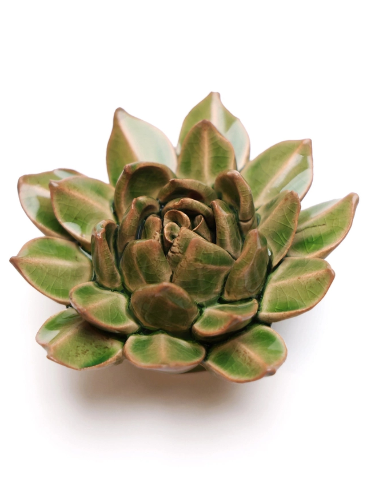 Ceramic Small Green Succulent - Echeveria