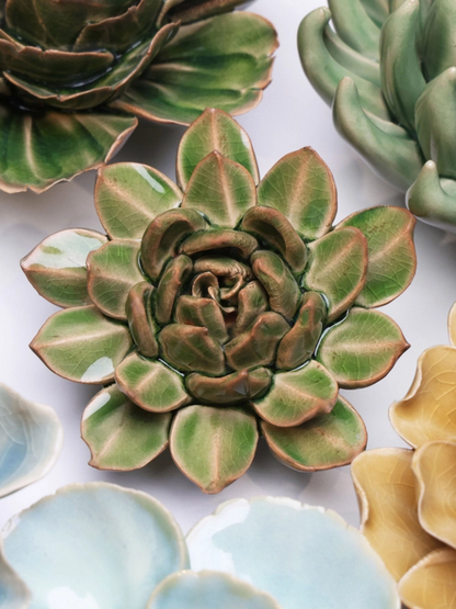 Ceramic Small Green Succulent - Echeveria