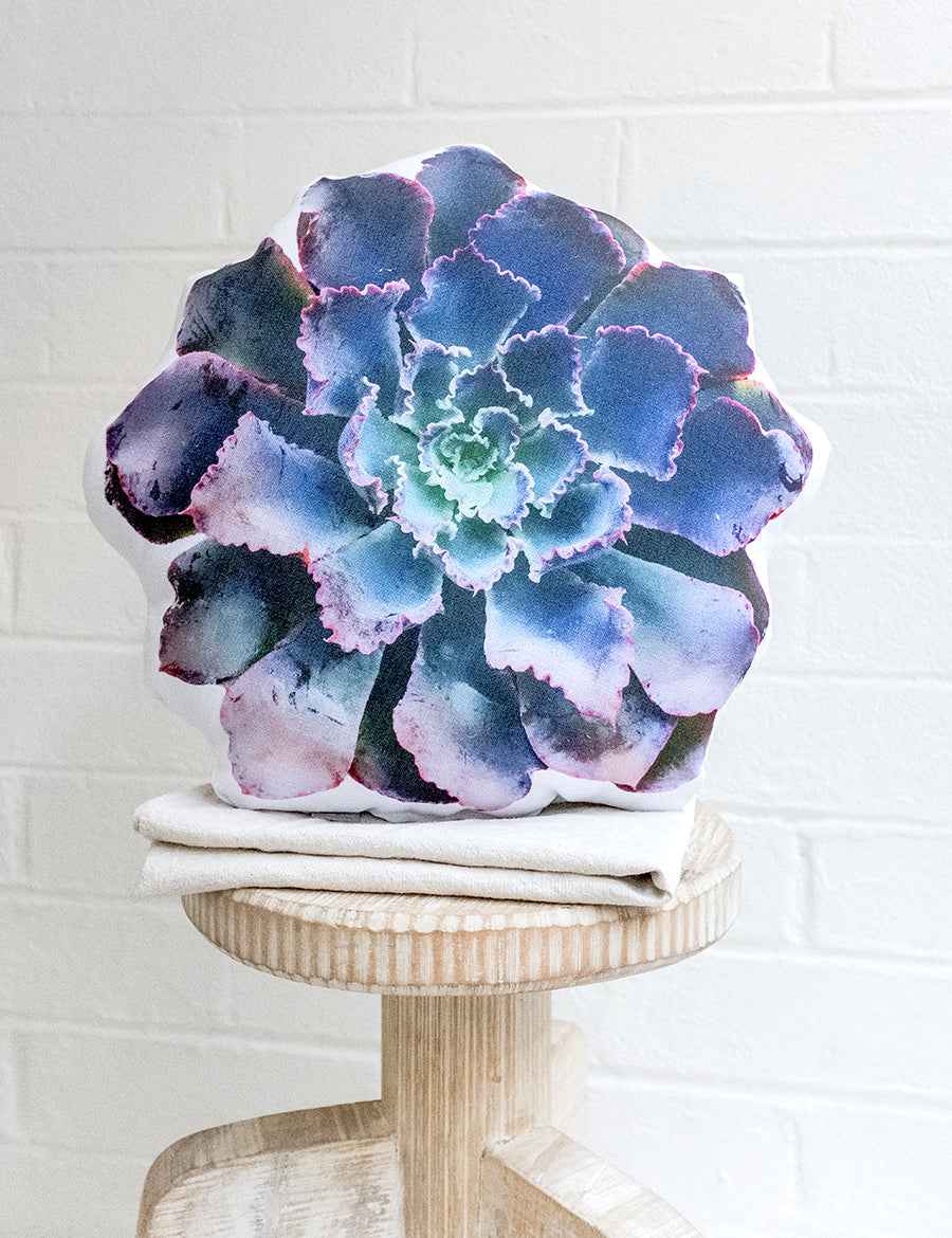 Lettuce Succulent Pillow - Neon Breakers Echeveria, College Student Gift , Boho Decor, Mother's Day Gift, Christmas Gift