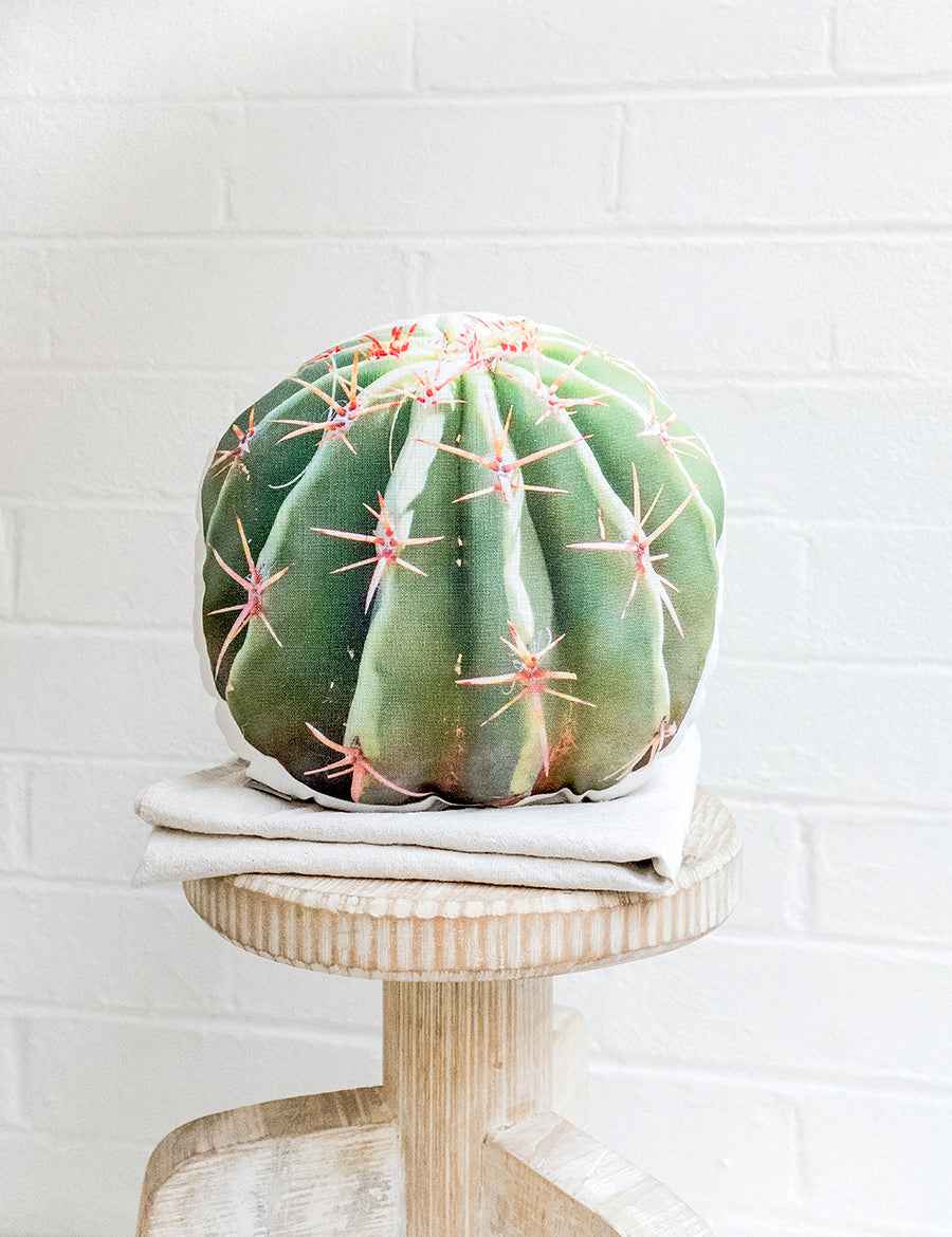 Barrel Cactus Pillow, College Student Gift, Christmas Gift, Mother's Day Gift