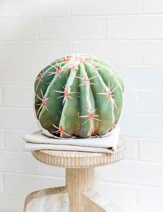Barrel Cactus Pillow, College Student Gift, Christmas Gift, Mother's Day Gift