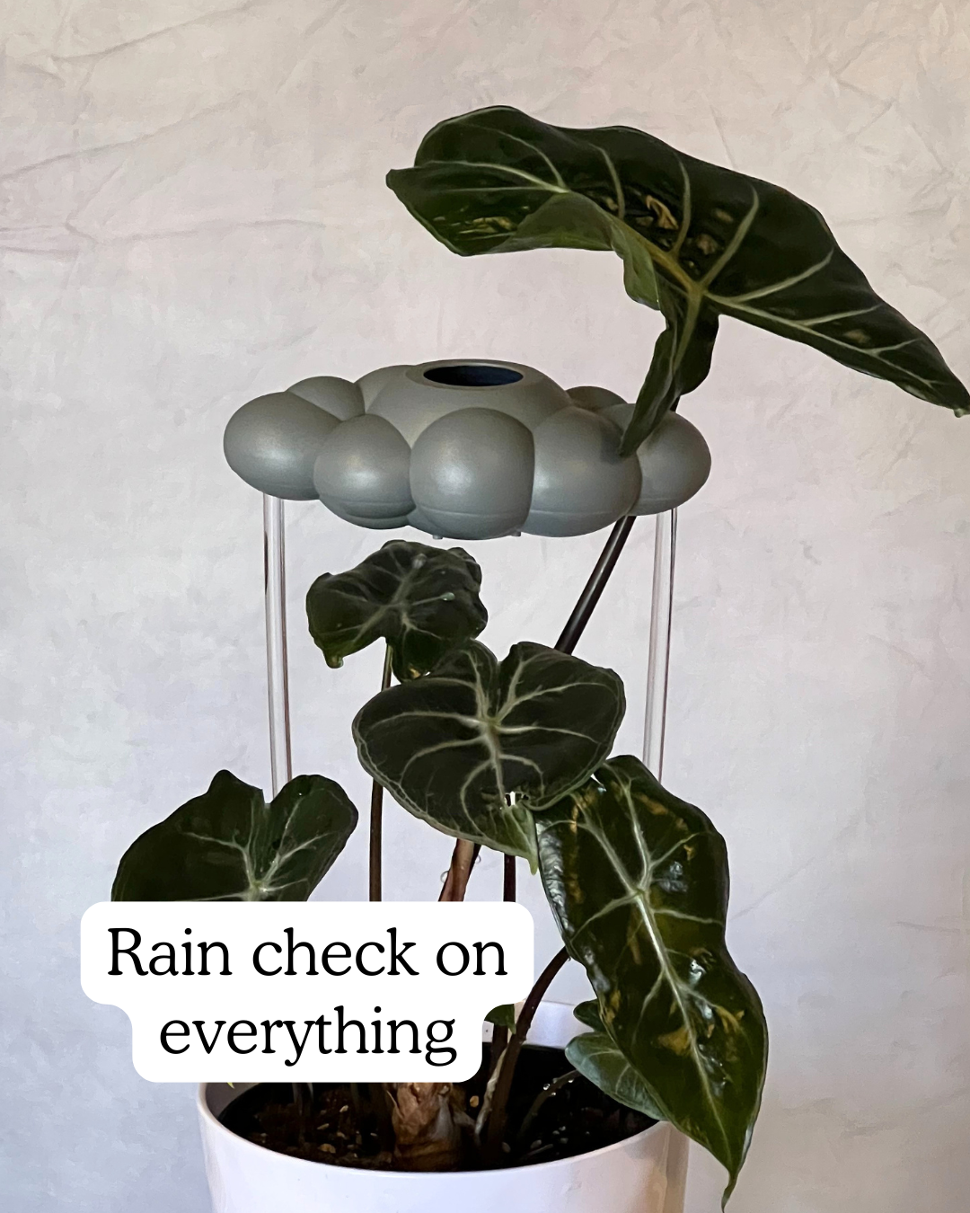 Stormy Dripping Rain Cloud