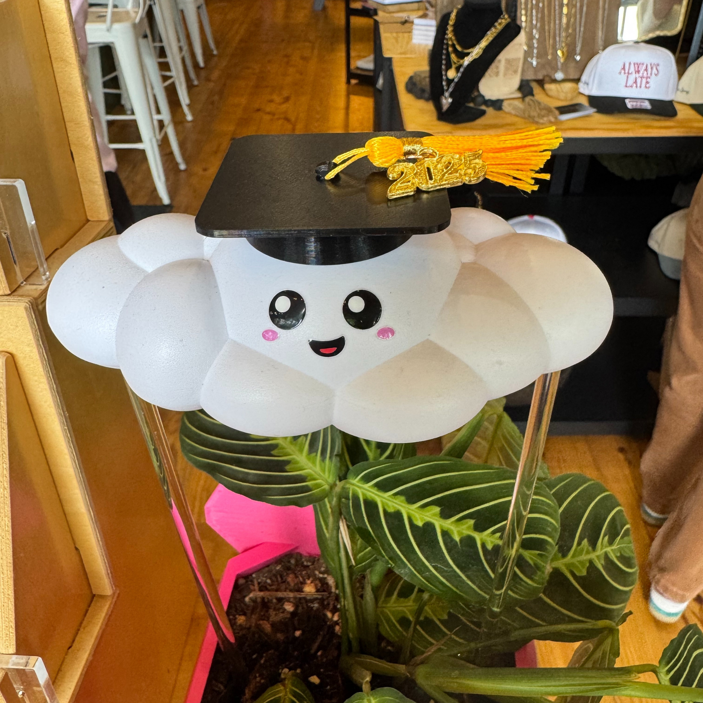 Skylar the Cloud