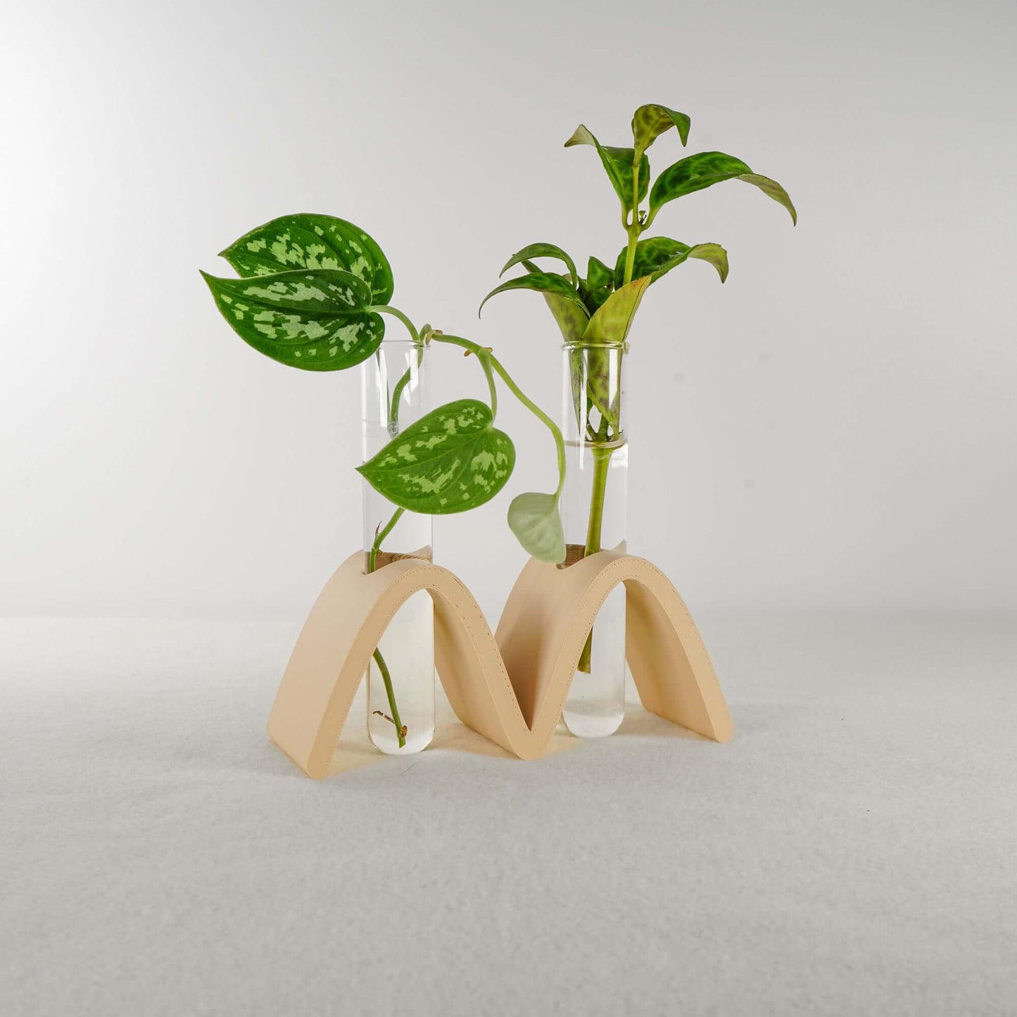 Arch Wave Propagation Station