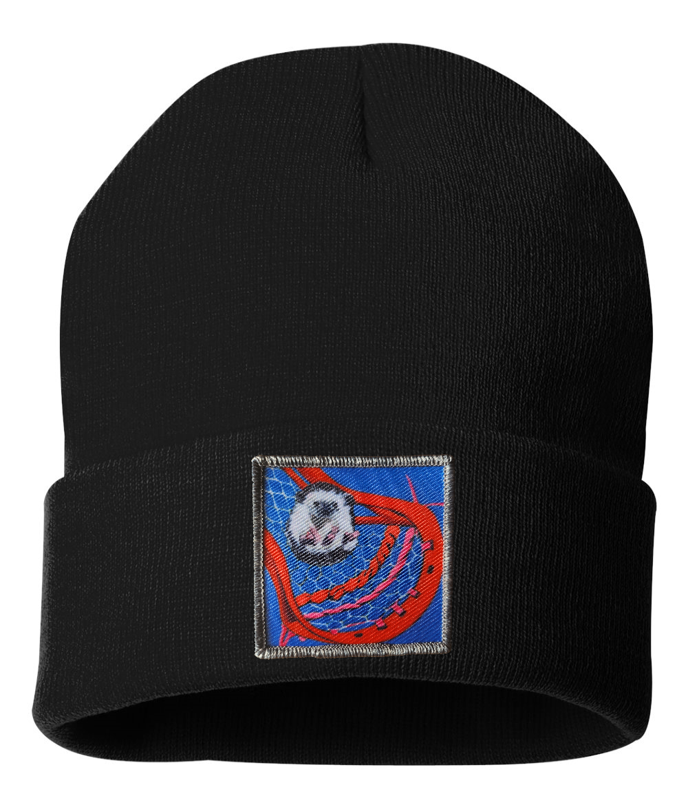Ball Hog Beanie