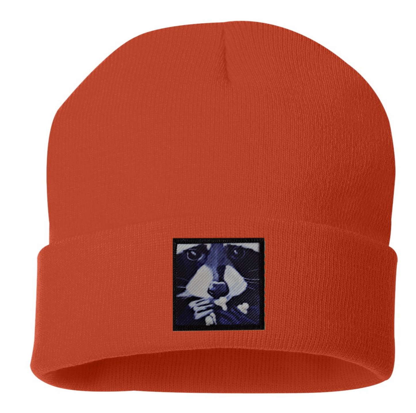 Raccoon Pop Beanie