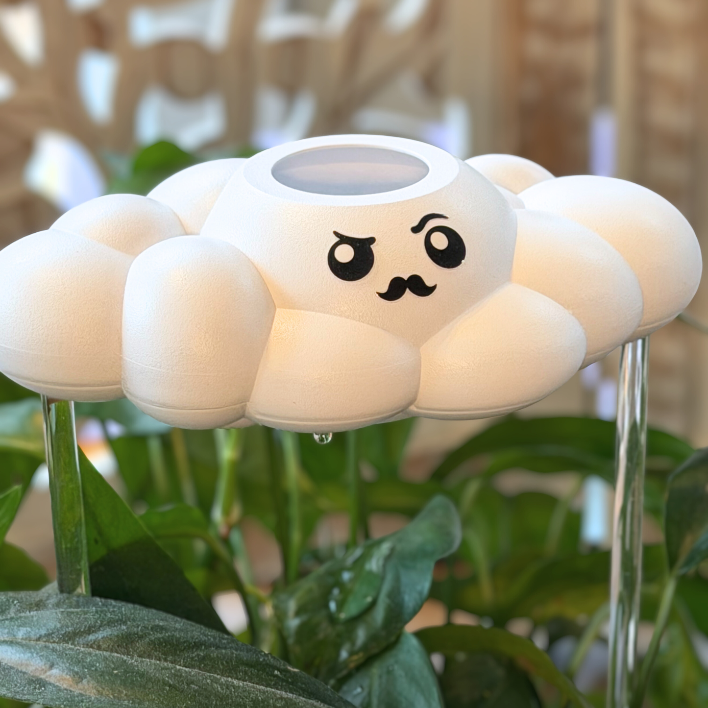 Carl the Cloud
