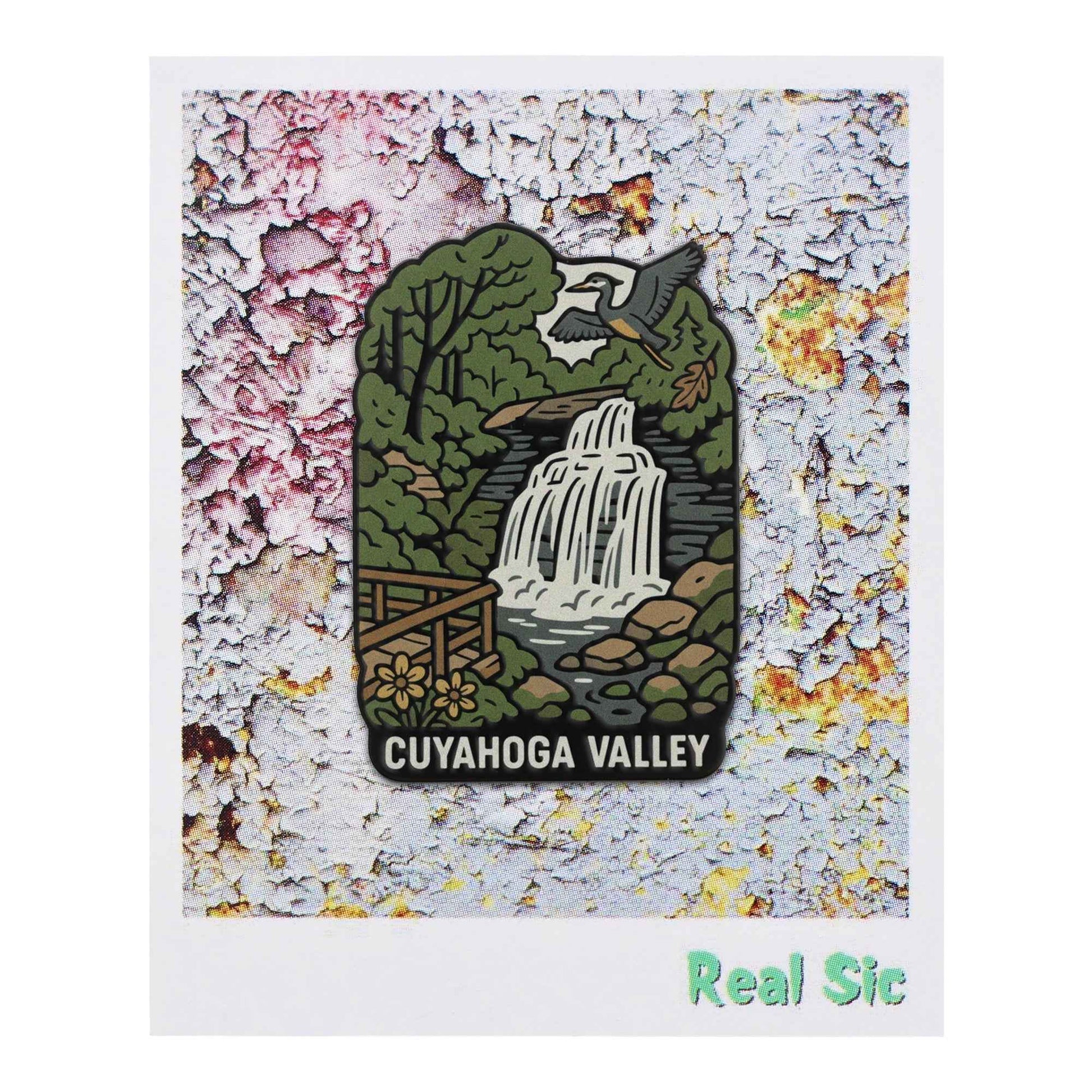 Cuyahoga Valley National Park Traveler Pin - Cleveland Brandywine Falls Souvenir Pin