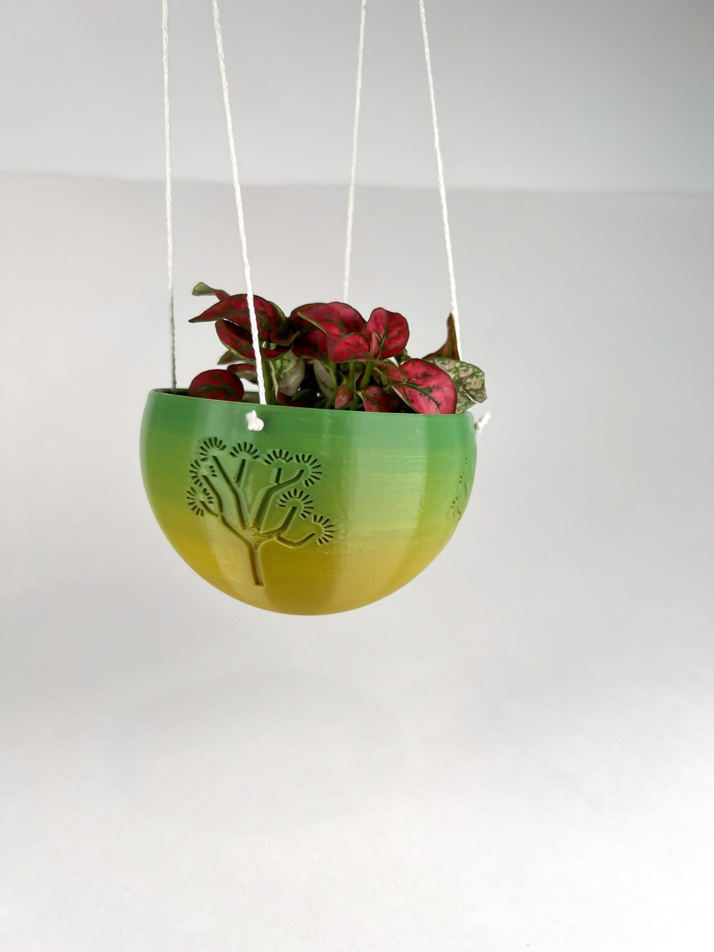 Hanging Joshua Tree Planter