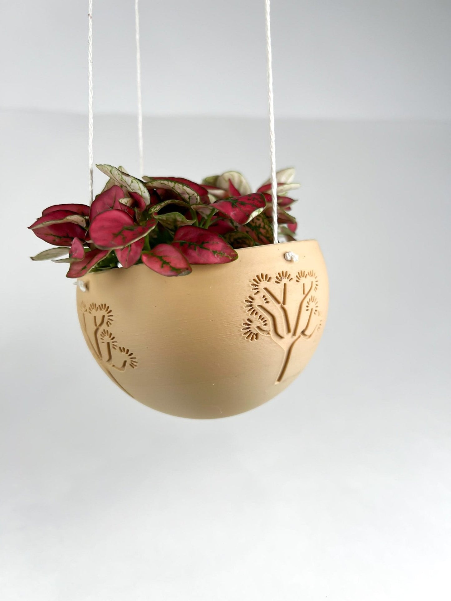 Hanging Joshua Tree Planter