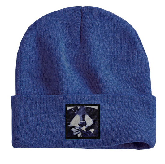 Raccoon Pop Beanie